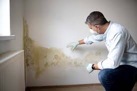 Trusted Cornwall, PA Mold Inspection Experts